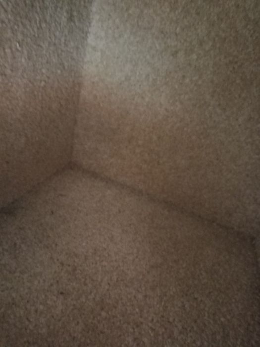 Дом для котят хороший