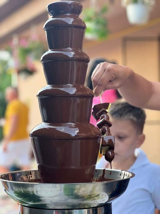 Fântână de Ciocolata - Candy Bar  - Fruit bar