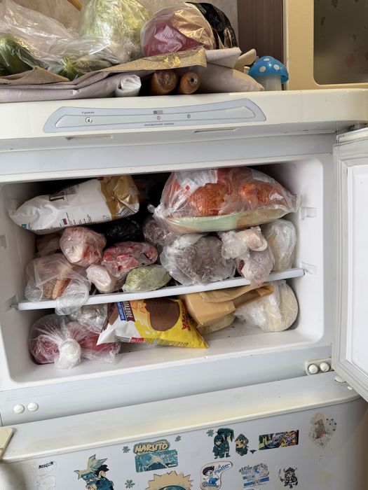 Холодильник Бирюса