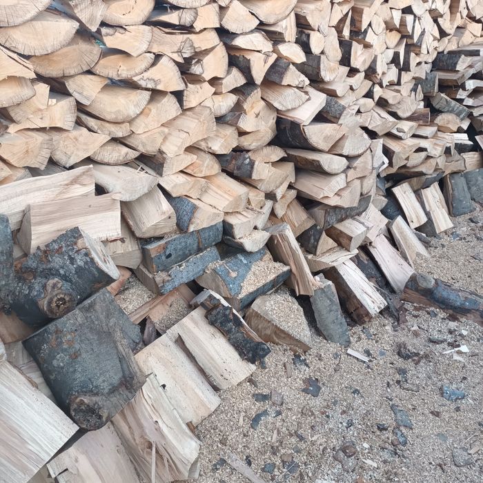 Lemne de foc fag capete uscate sau verzi 600.lei tona