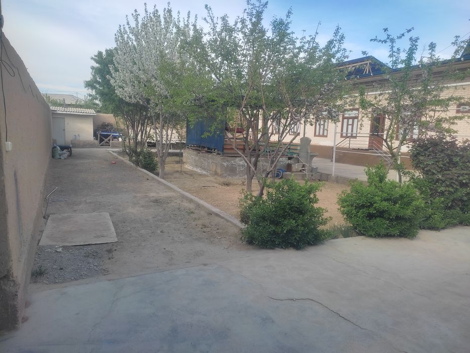 Самарканд-савхозда ховли сотилади