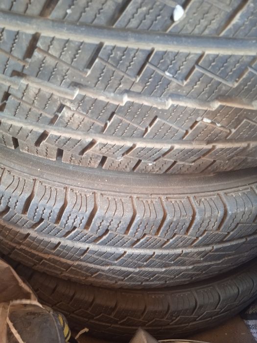 Нивсның балондары сатылады