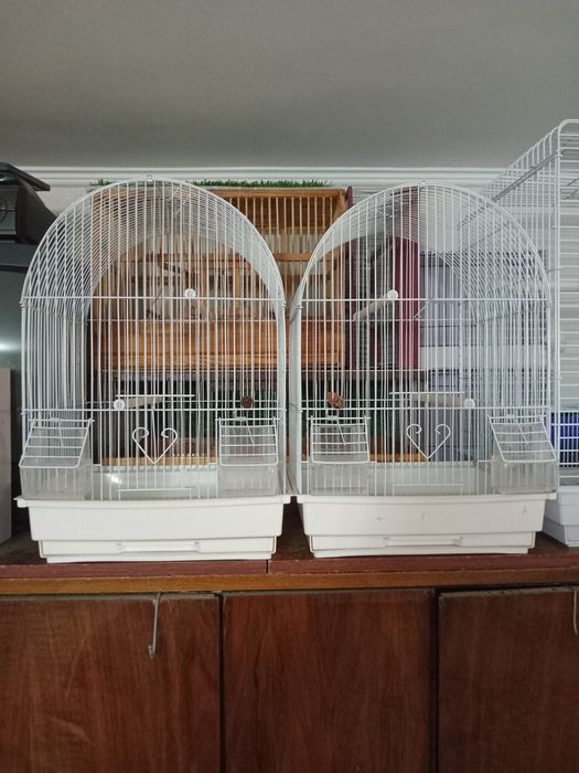 Клетки для декоративных птиц
