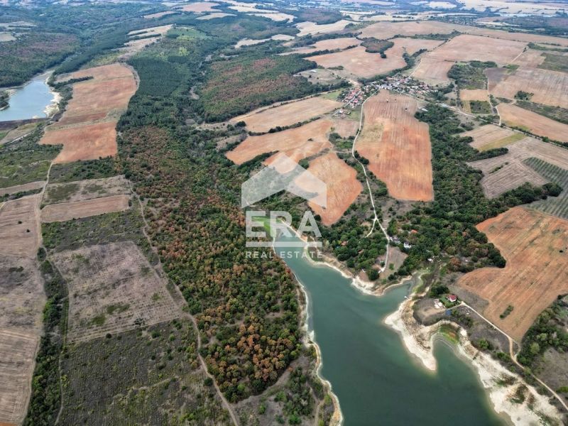 Намалена Цена!!! гора, пасища и ниви – 588 дка в с. Царева поляна, о