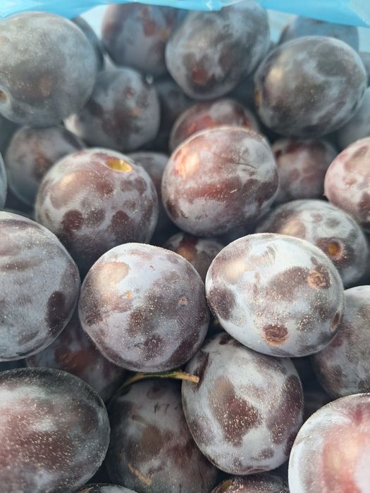 Prune de vânzare