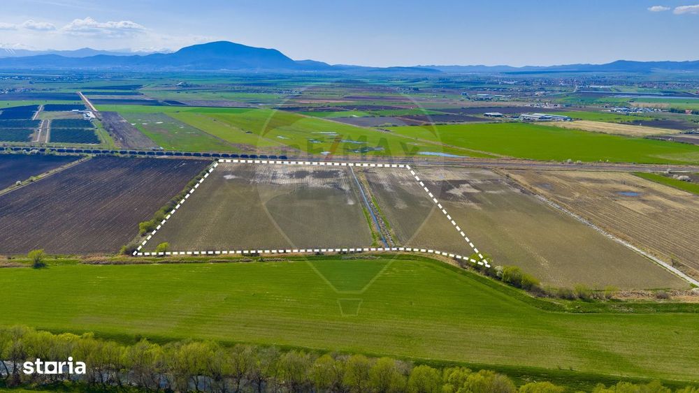 Teren 9,2 Ha Bod |Logistic / Industrial| Doar 5€/mp| Comision 0%