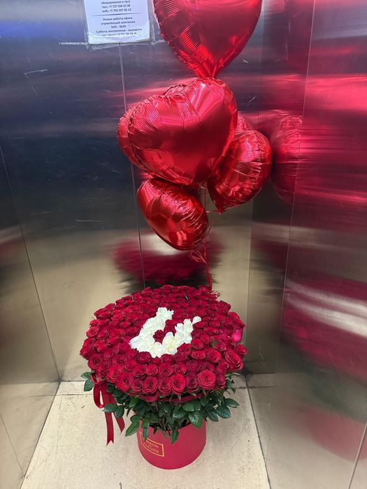 Цветы, розы голондские