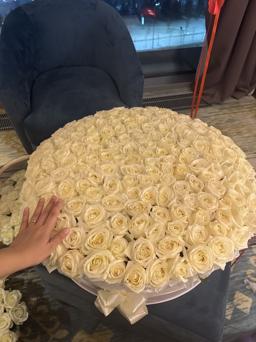 Цветы 201 голандских роз