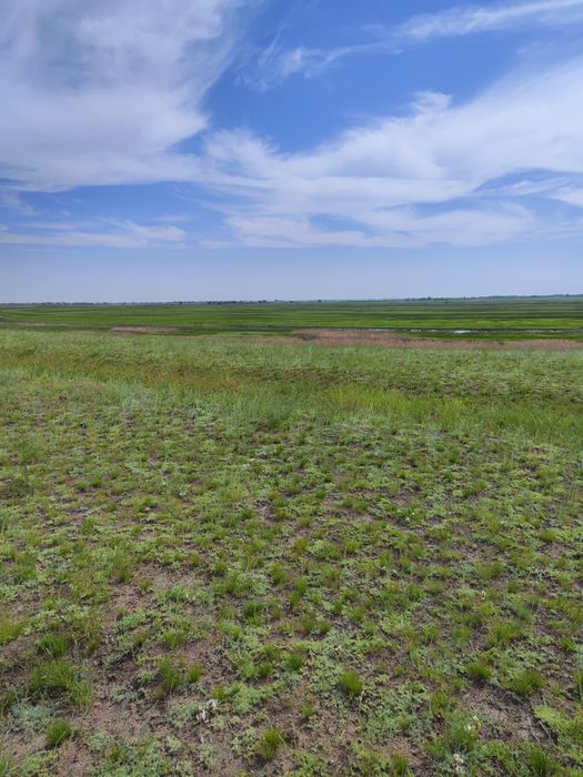 Продам земельный участок.