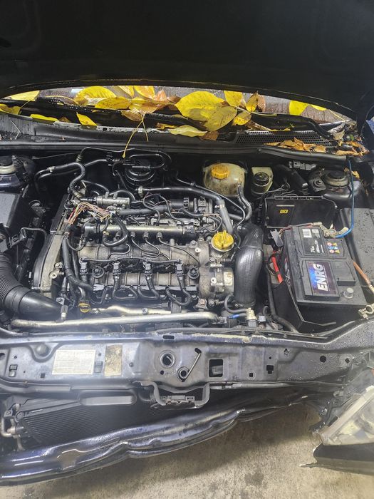 Опел сигнум 1.9цдти на части/opel signym 1.9cdti na chasti