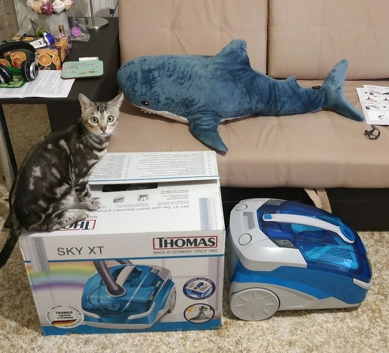 Thomas Моющий пылесос Sky XT Aqua-Box | Гарантия | Доставка