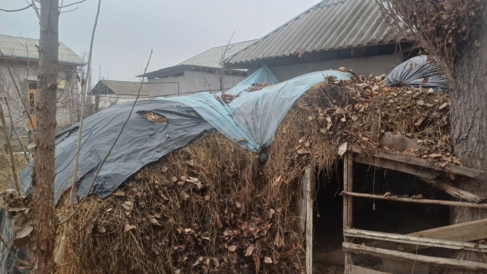 Беда 200+ бог' бор