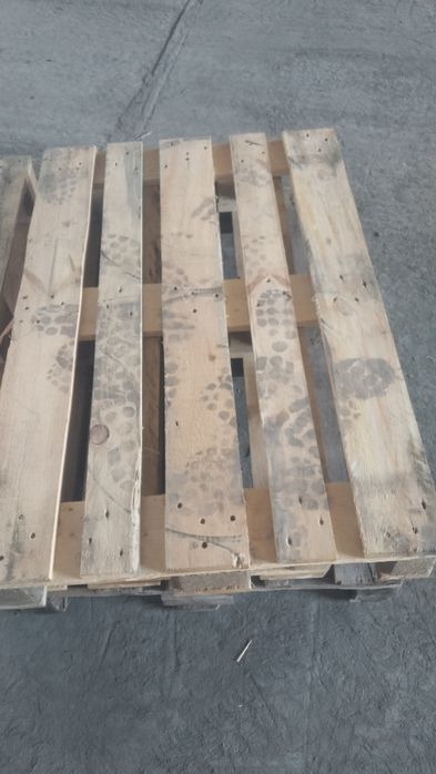 поддоны 1200 на 800