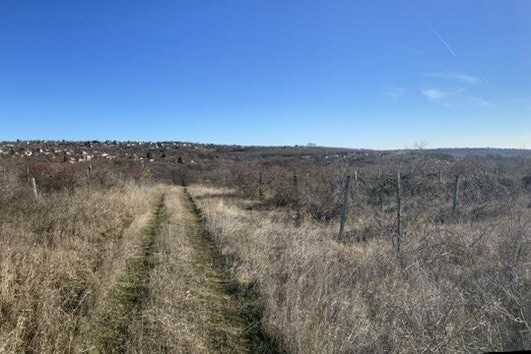 Продава се Парцел в Варна, Аспарухово - 8556 кв.м за 6 €/кв.м - Снимка #7