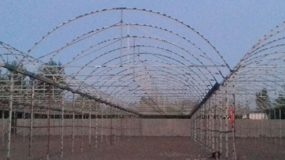 Arzon narxda Tom naves qurish xizmati ozbekiston boylab xizmat korsata