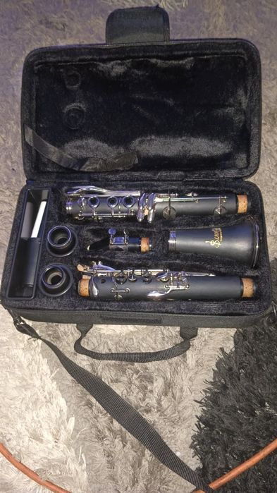 Clarinet SLADE 550 lei negociabil