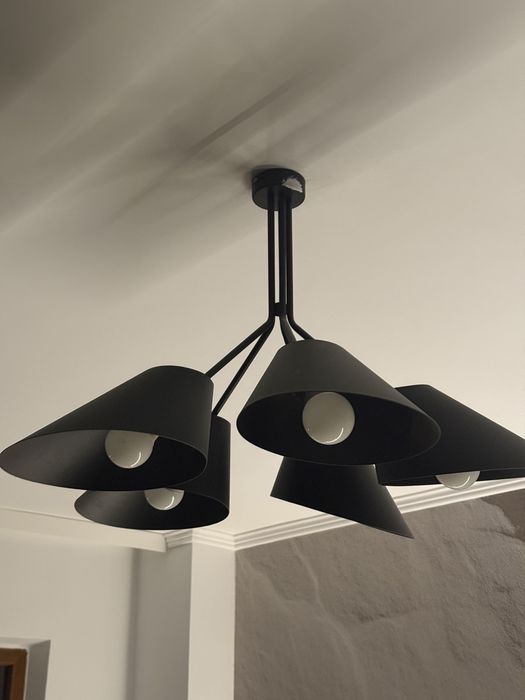 Lustra neagra metalica