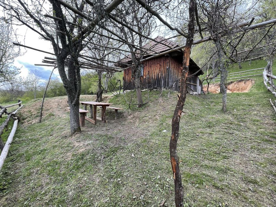 Casa ,livada si padure in com batrana jud hunedoara tinutul padurenilor