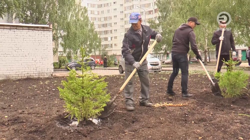 Богбон, Садовник посадка, обрезка деревьев, уборка сада и территорий.