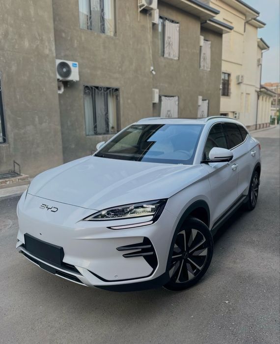 Byd chempion restailing 605