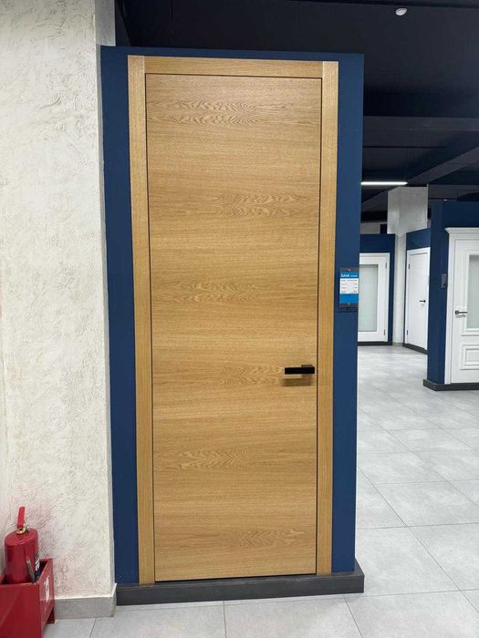 Модные ,современные двери