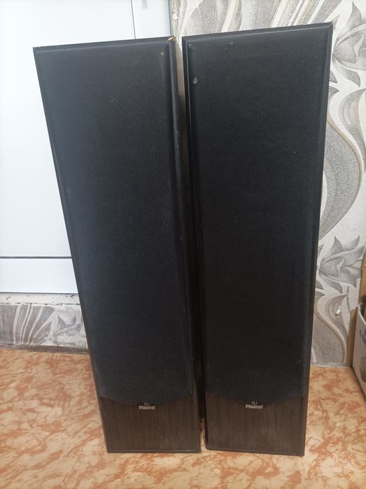 продавам 3 Лентови колони  Magnat

Magnat  6.5 инчови 

работят отли