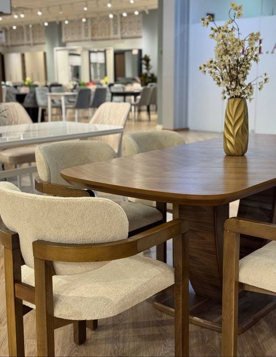 Стол стуля для гостиной зала