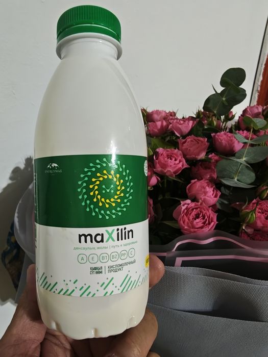 Суперпробиотик Maxilin Максилин