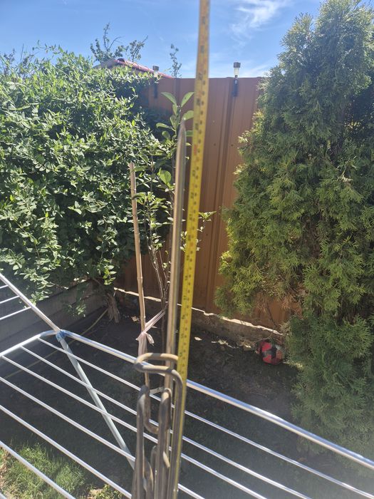 Rezistenta electrica cu flansa