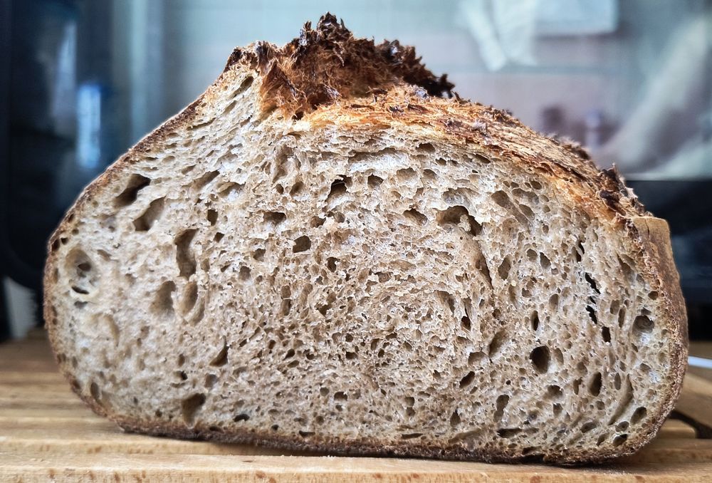 3 x Maia sălbatică pentru pâine Italia 2020, și pasta madre, rețetă