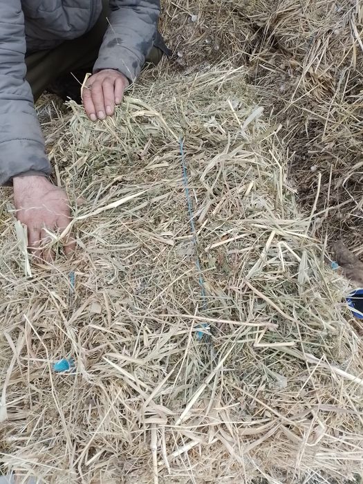 Baloti de fân cu lucernă