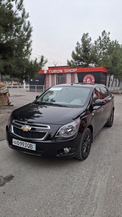 Cobalt Midnight 2025