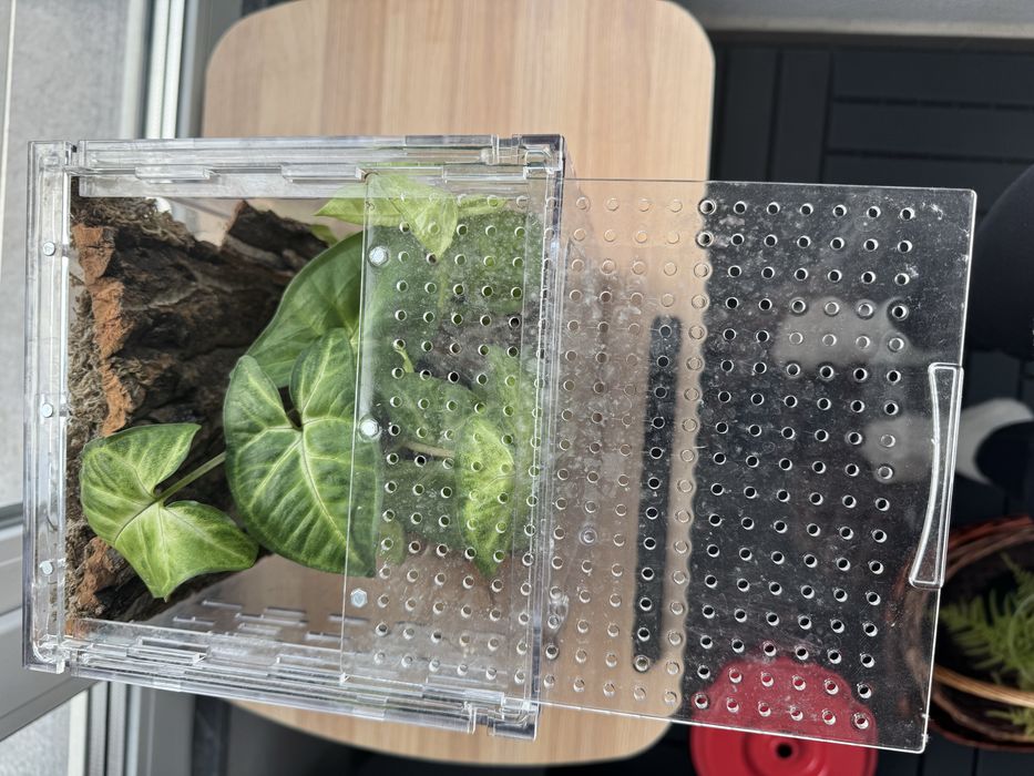 Терариум за отглеждане на влечуги.