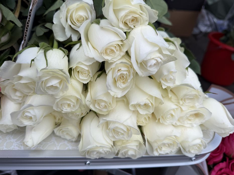 Розы по 600 тенге