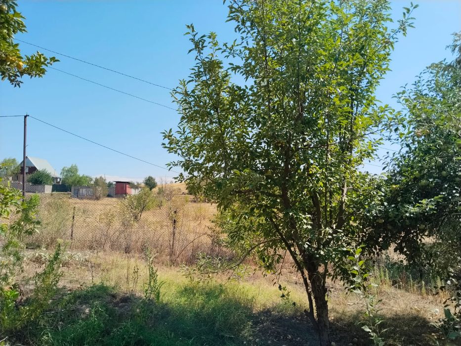 Продам дачу в Турарских дачах