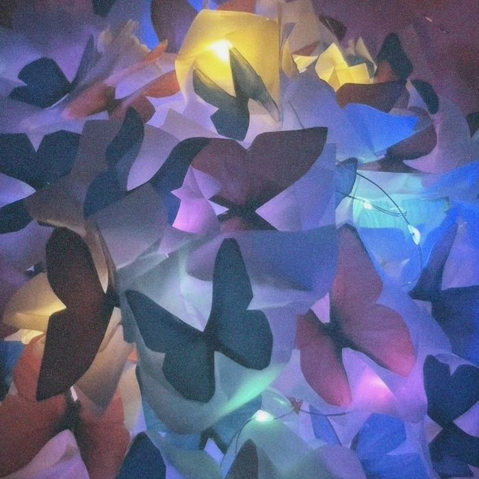 Букеты из бабочек