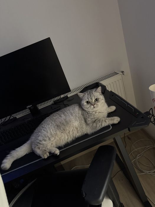Pc Gaming complet !