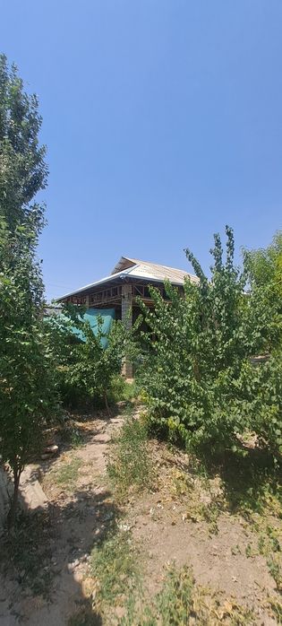 4 сотихли ховли срочно сотилади