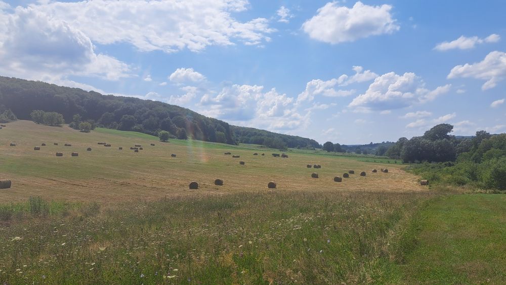 Vând baloti de fân