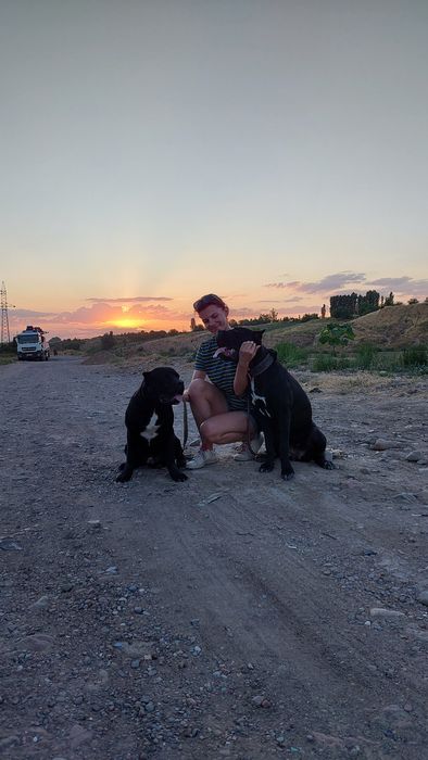 Кинолог ‐ дрессировка собак