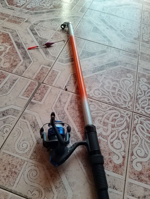 Продавам Болонезе 5.00м.