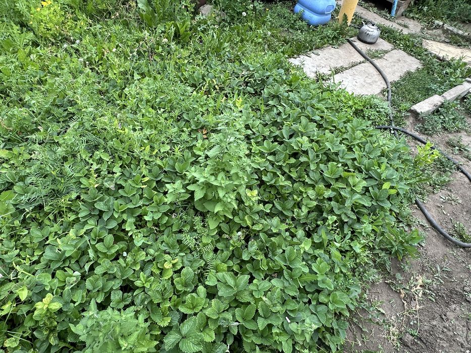 Продам дачу зимни варянт