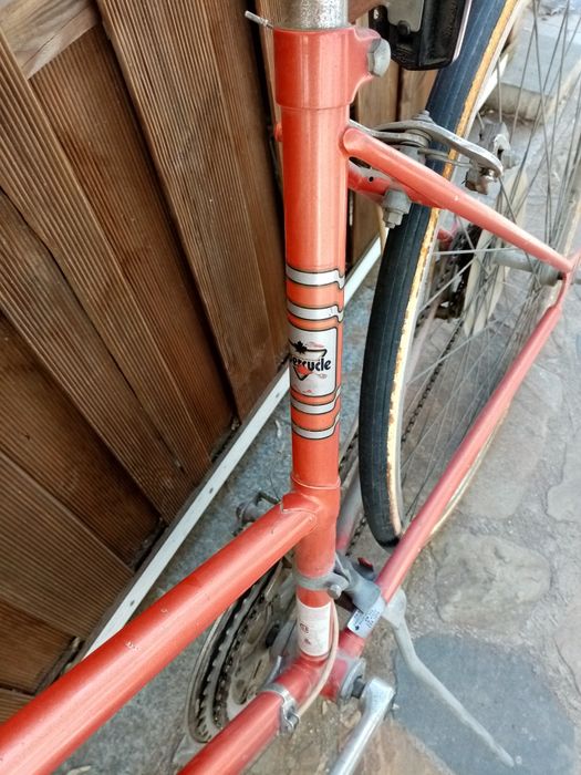 Bicicleta cursiera dama