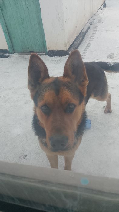 Ищем девочки для нашего красавчика