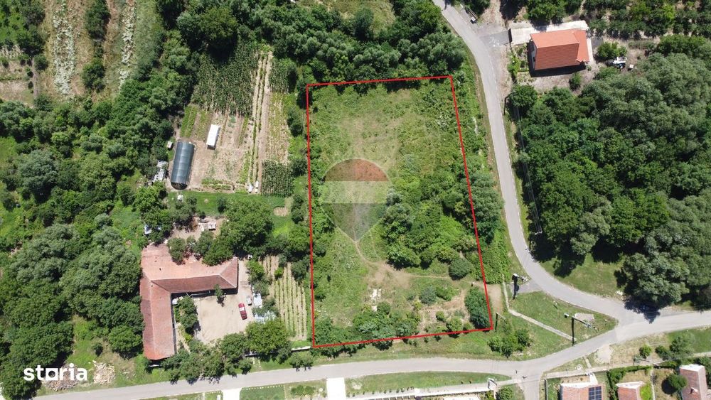 Teren intravilan 2877 mp Murani langa Domenii oportunitate investitie