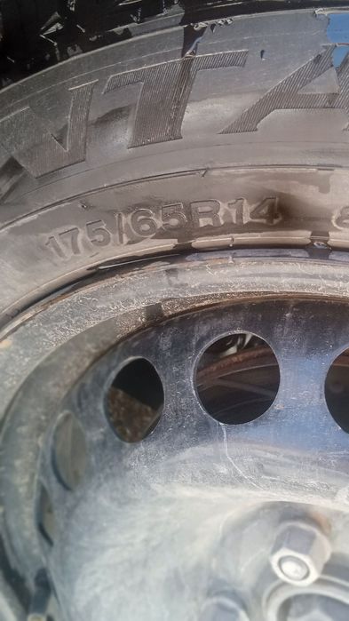 175.65.R14 baloney zimni