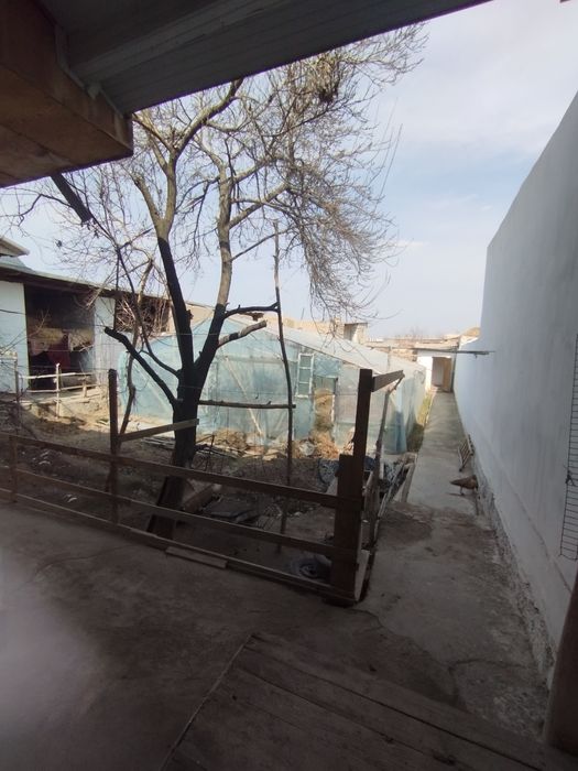 Hovli joy sotiladi 650m²  Urganch tuman Xidoyat M. 28-uy