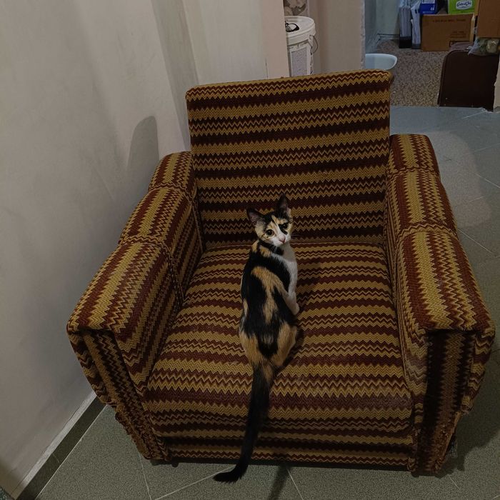 подарявам два фотьойла с две табуретки