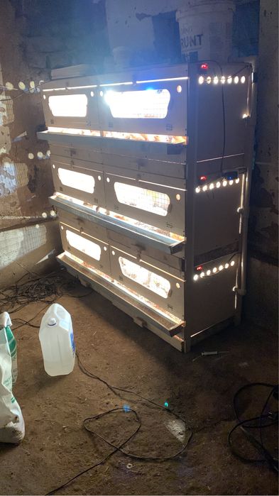 Брудер балапандарға арналған