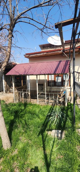 Клетка для баранов